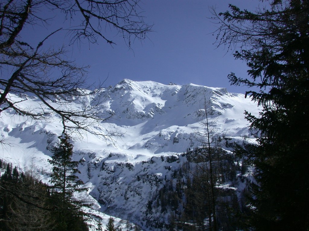 DSCN4881.JPG
