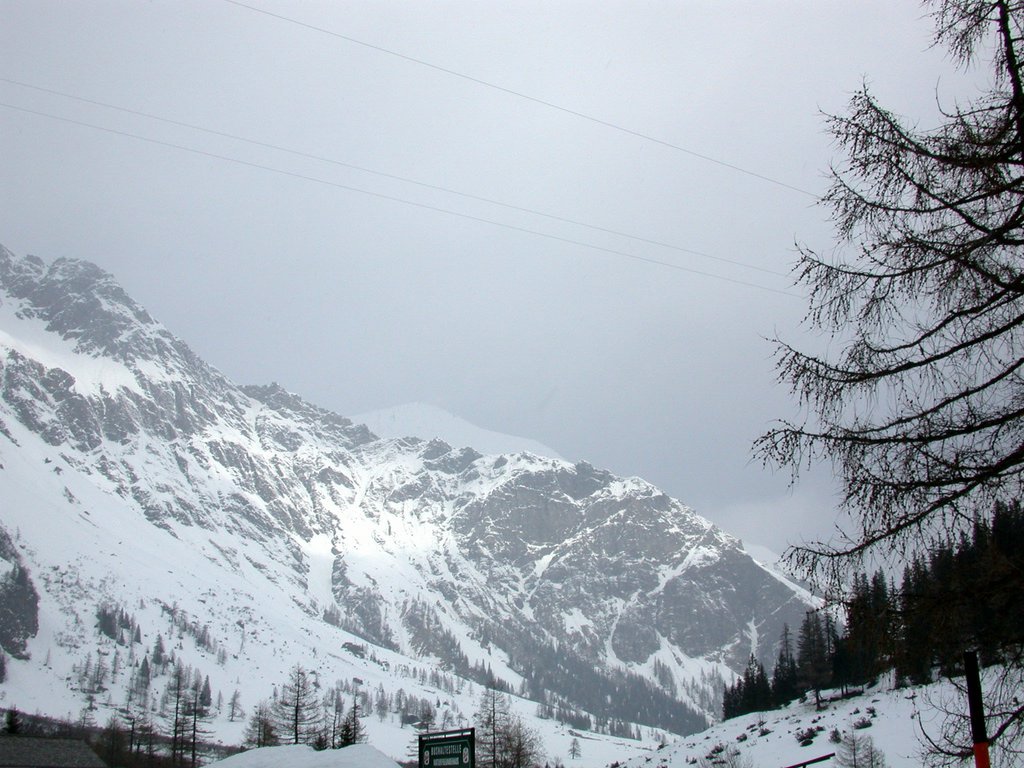 DSCN4882.JPG
