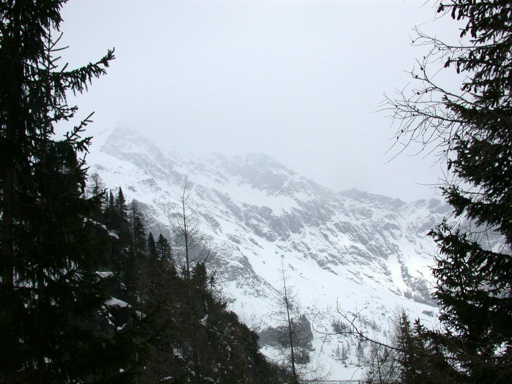DSCN4891.JPG