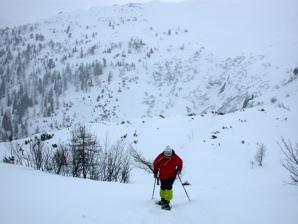 DSCN4895.JPG