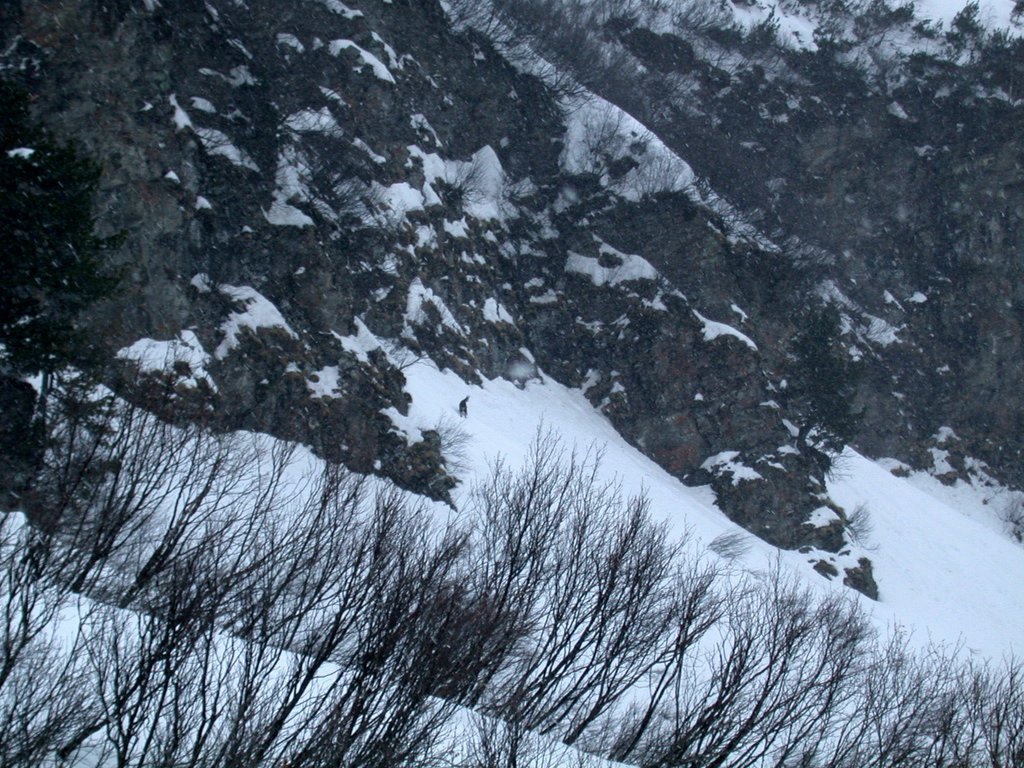 DSCN4899.JPG