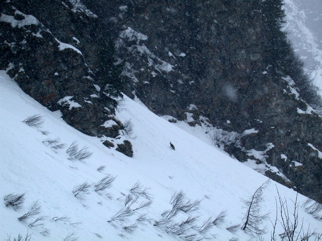 DSCN4900.JPG