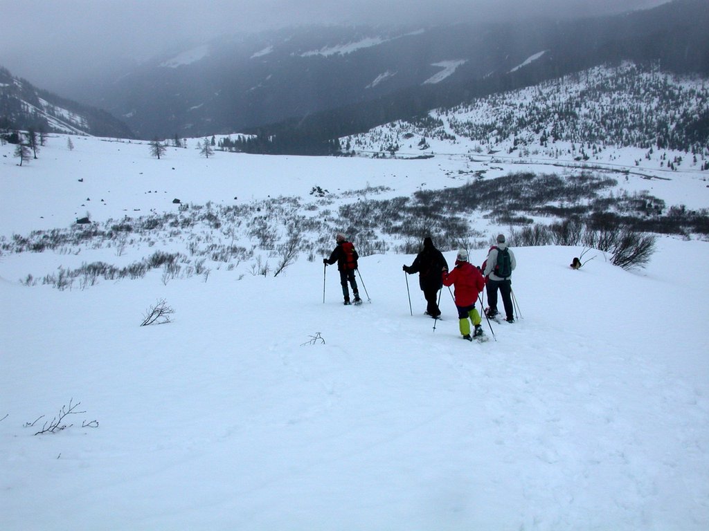 DSCN4907.JPG