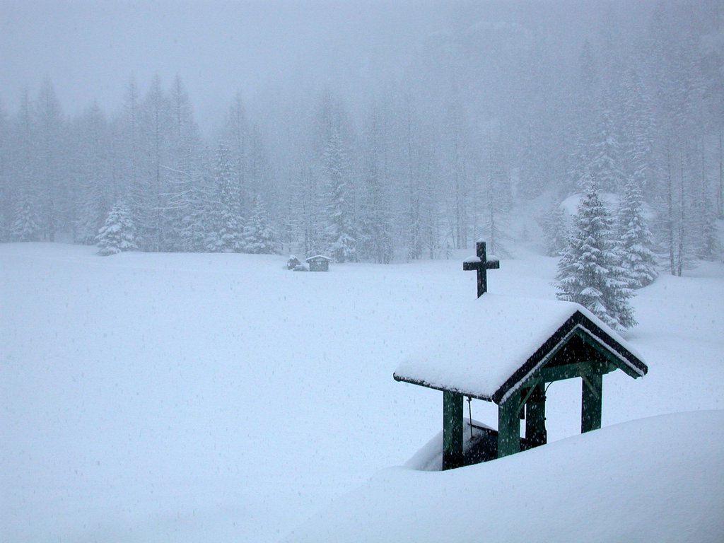 DSCN4917.JPG