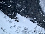 DSCN4900.JPG