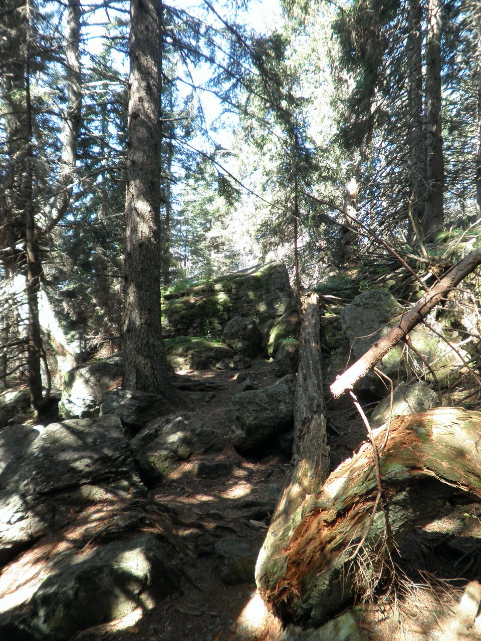 P8310070.JPG