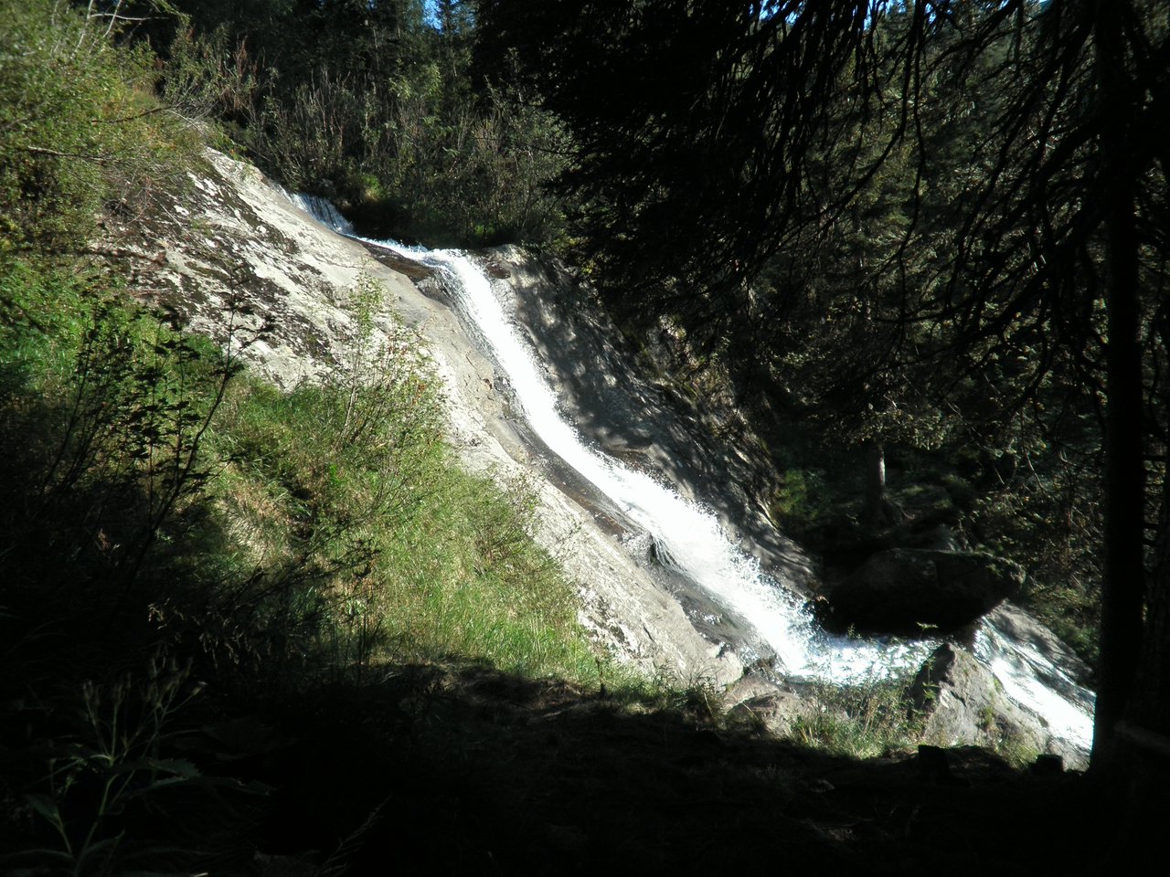 P8310215.JPG