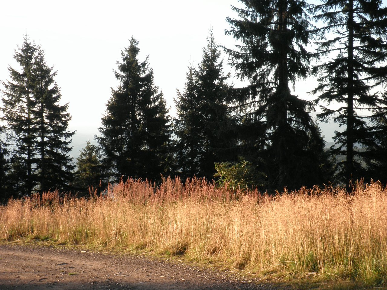 P8310256.JPG