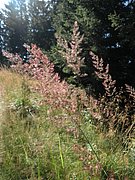 P8310020.JPG