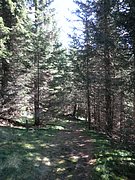 P8310030.JPG