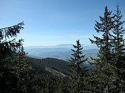 P8310034.JPG