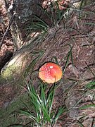 P8310037.JPG