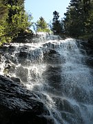 P8310048.JPG