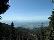 P8310069.JPG