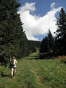 P8310077.JPG