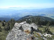 P8310082.JPG