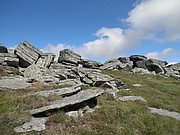 P8310117.JPG