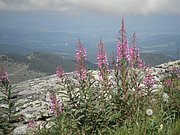 P8310122.JPG