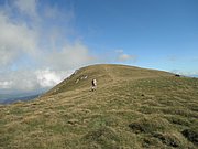 P8310141.JPG