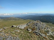 P8310164.JPG