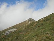 P8310188.JPG