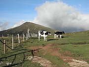 P8310204.JPG