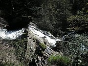 P8310223.JPG