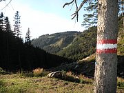 P8310238.JPG