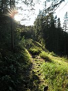 P8310239.JPG