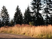 P8310256.JPG