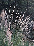 P8310261.JPG
