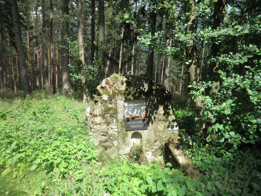 P7020014.JPG