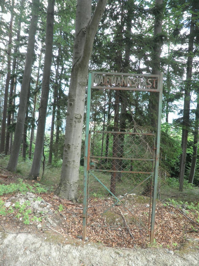 P7020023.JPG