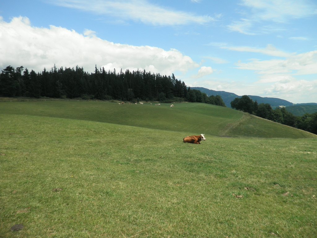 P7020032.JPG