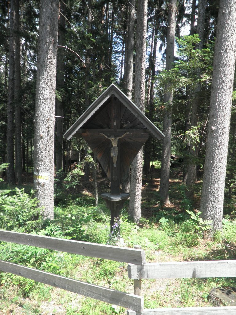 P7020041.JPG