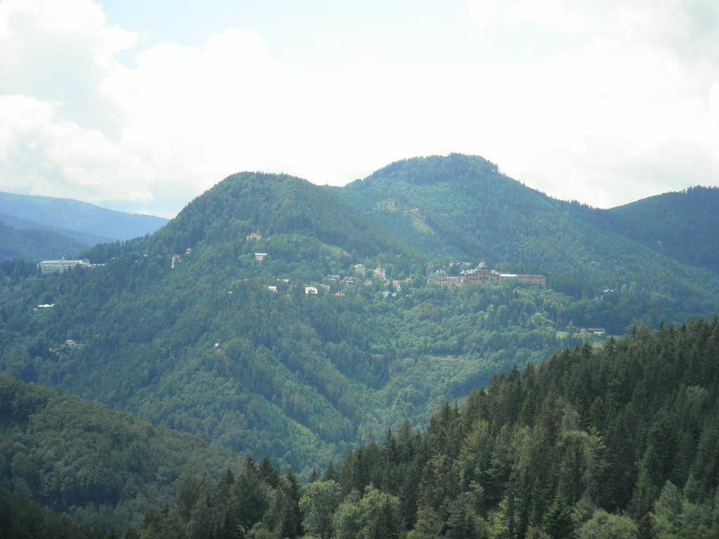 P7020047.JPG