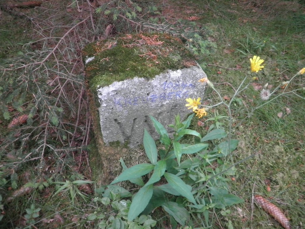 P7020054.JPG