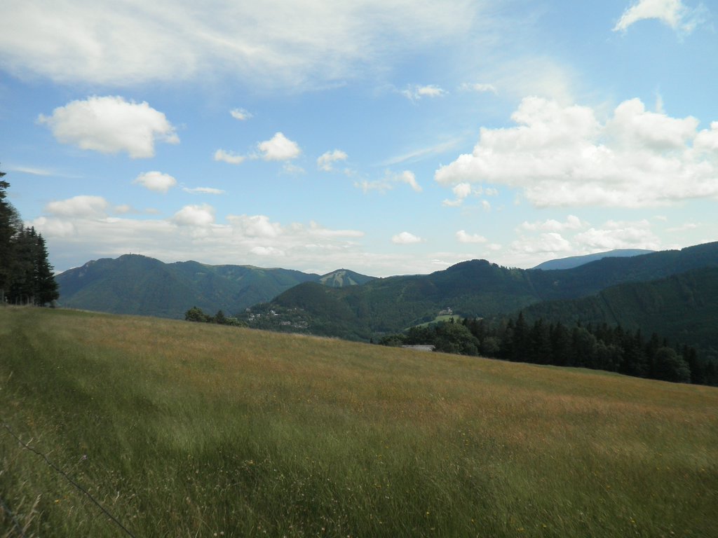P7020071.JPG