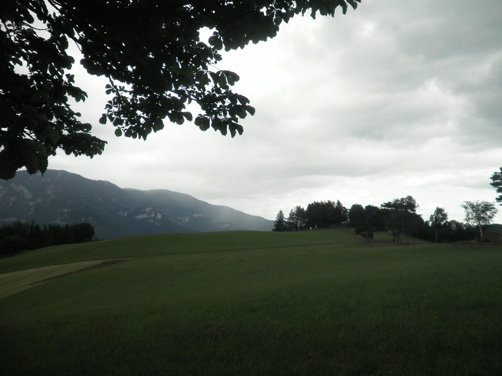 P7020080.JPG