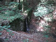 P7020011.JPG