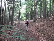 P7020012.JPG