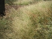 P7020025.JPG