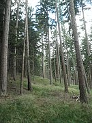 P7020027.JPG
