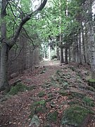 P7020028.JPG