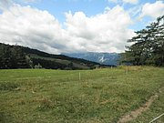 P7020033.JPG