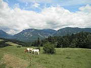 P7020035.JPG