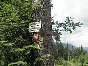 P7020050.JPG