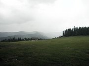 P7020056.JPG