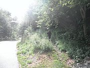 P7020084.JPG