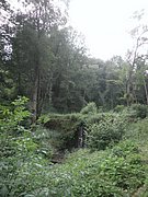 P7020086.JPG